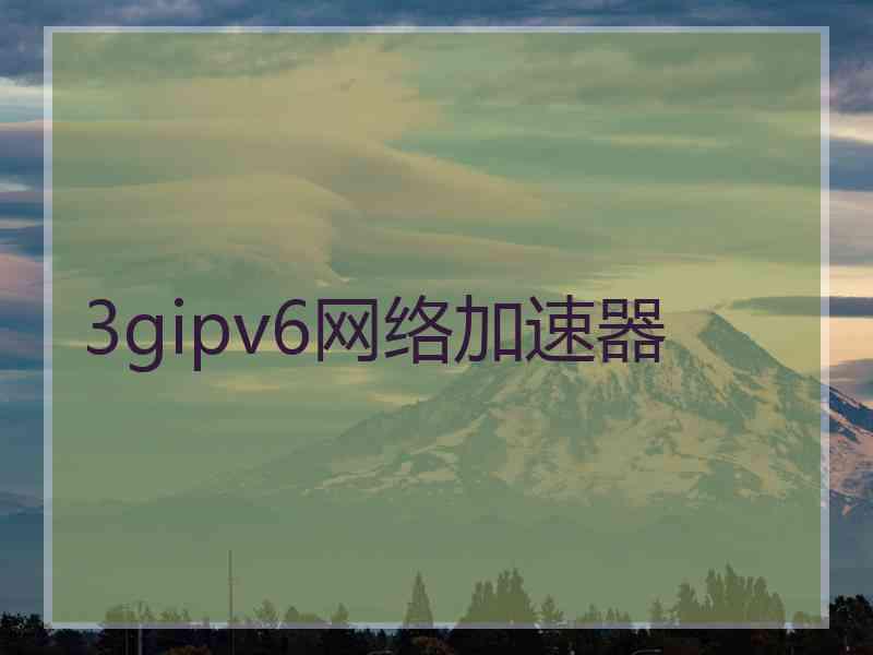 3gipv6网络加速器