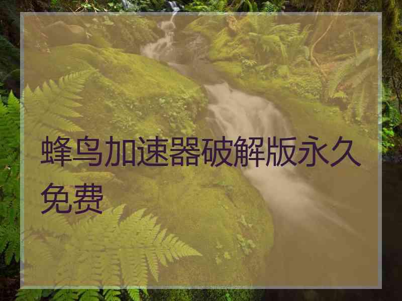 蜂鸟加速器破解版永久免费