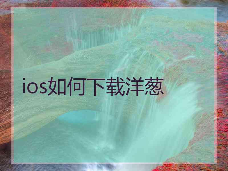 ios如何下载洋葱