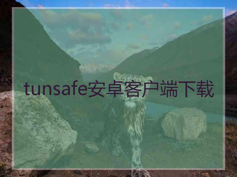 tunsafe安卓客户端下载