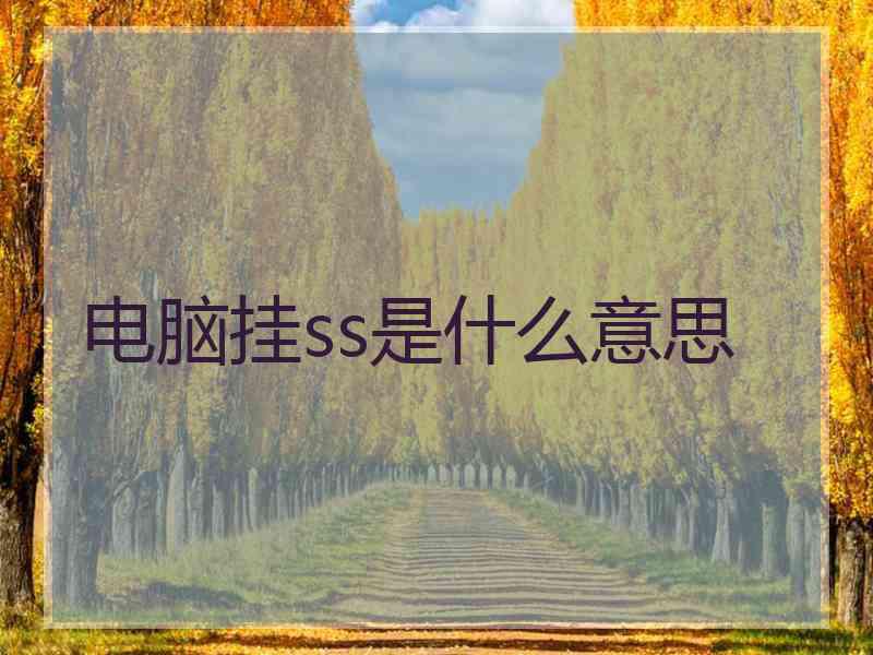 电脑挂ss是什么意思