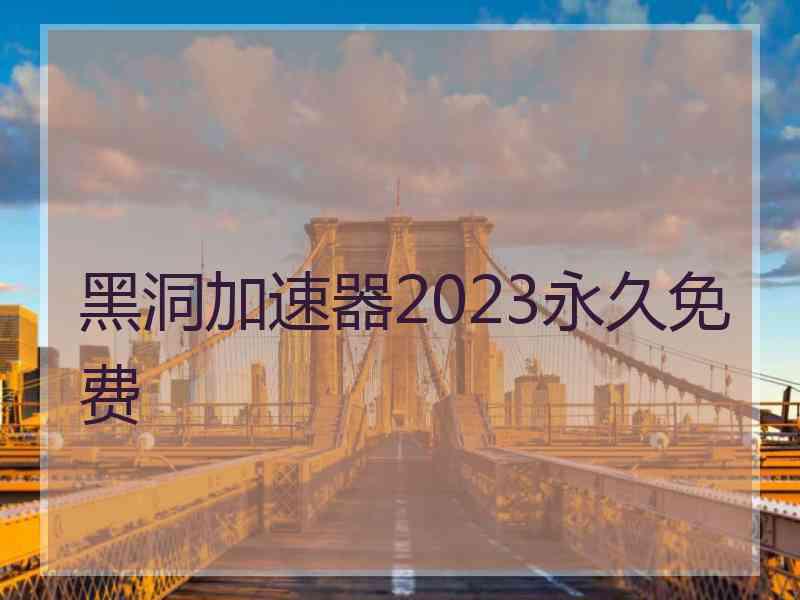 黑洞加速器2023永久免费